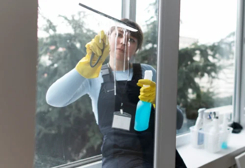 Nettoyage de vitres intérieures et extérieures à Prissac